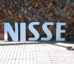 Organizasyon Harfleri