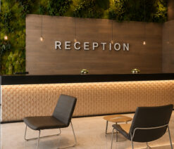 RECEPTION IŞIKLI HARF